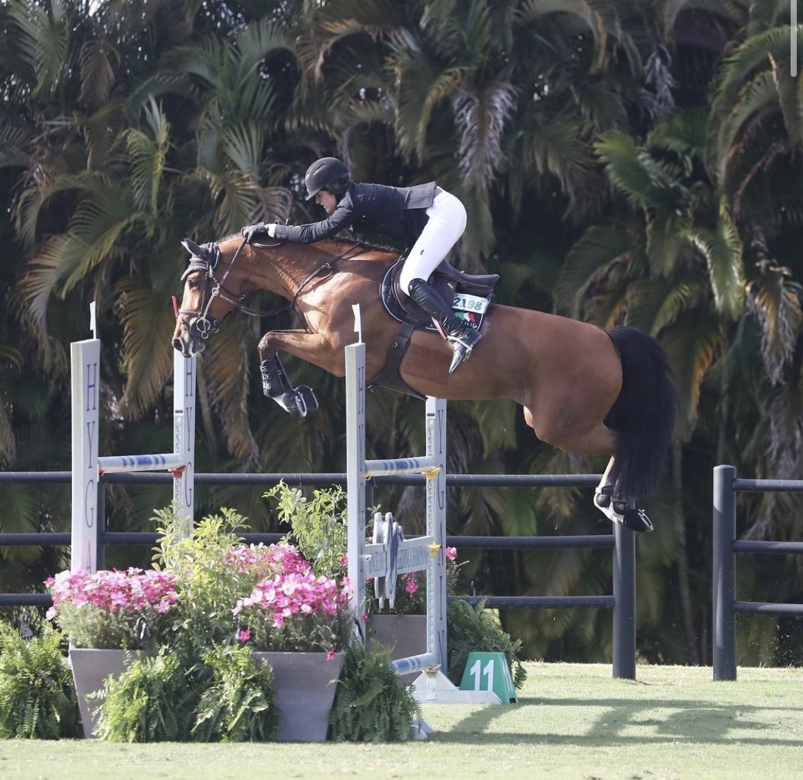 Bahira-S with a 3rd place finish in the 1.40m class and a 7th place in the National GP!