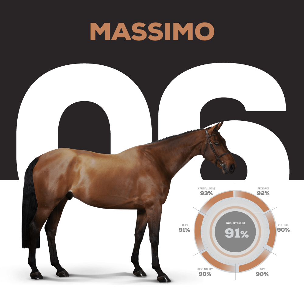 MASSIMO – Catalogue Number 6